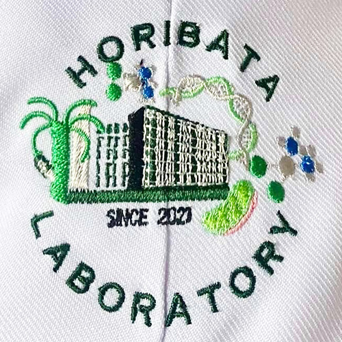 Horibata Laboratory